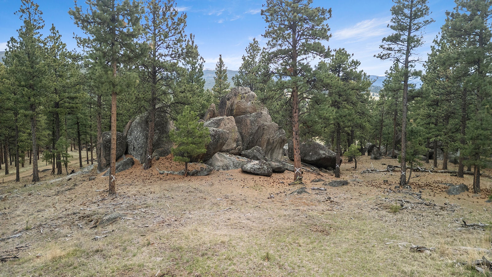 Photo 1 of 32 — 15 Old Abe Road, Clancy, MT 59634