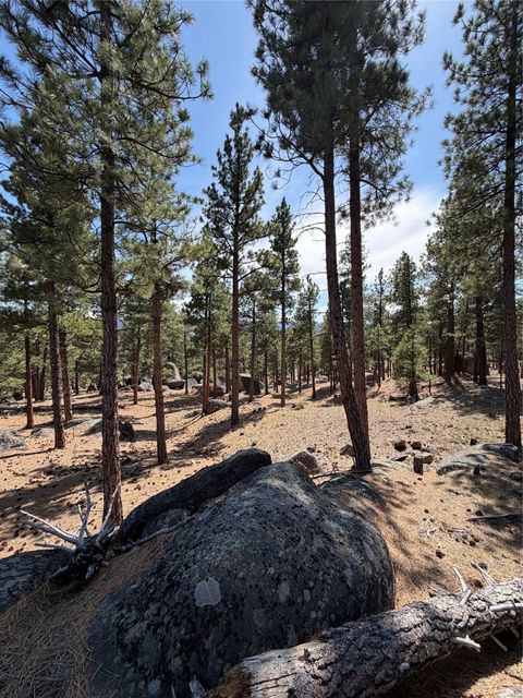 Tiny photo for 15 Old Abe Road, Clancy, MT 59634 (MLS # 30068153)