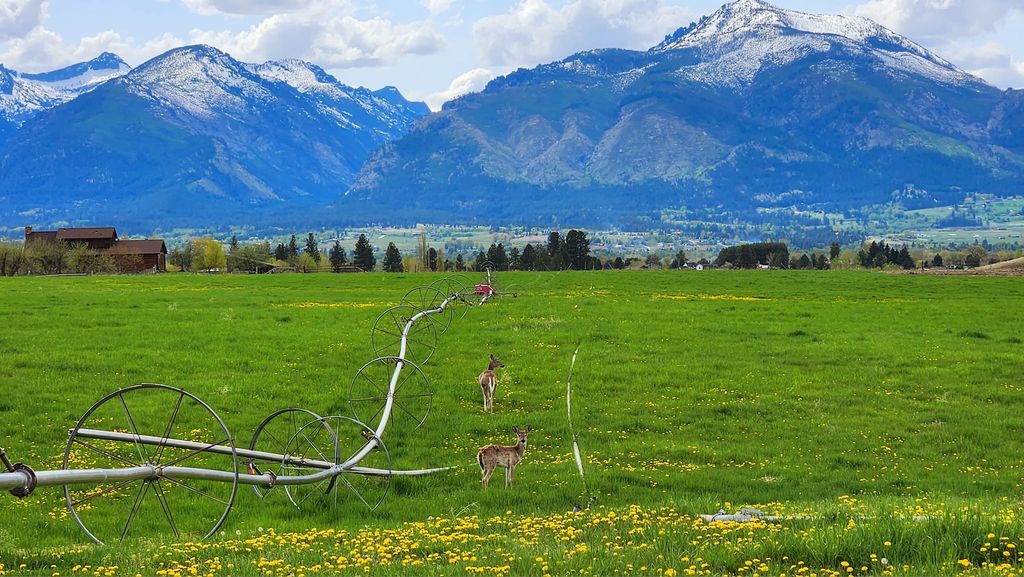 Photo of Lot D Prestige Way, Corvallis, MT 59828 (MLS # 30066367)