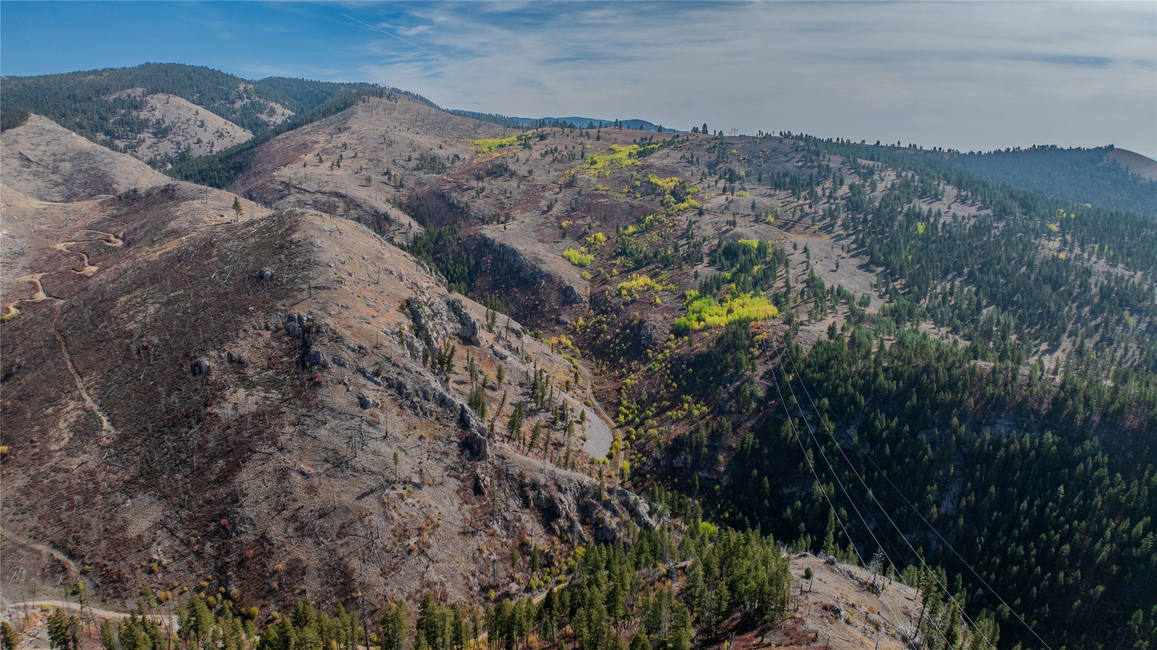 TBD Packer Gulch Road
