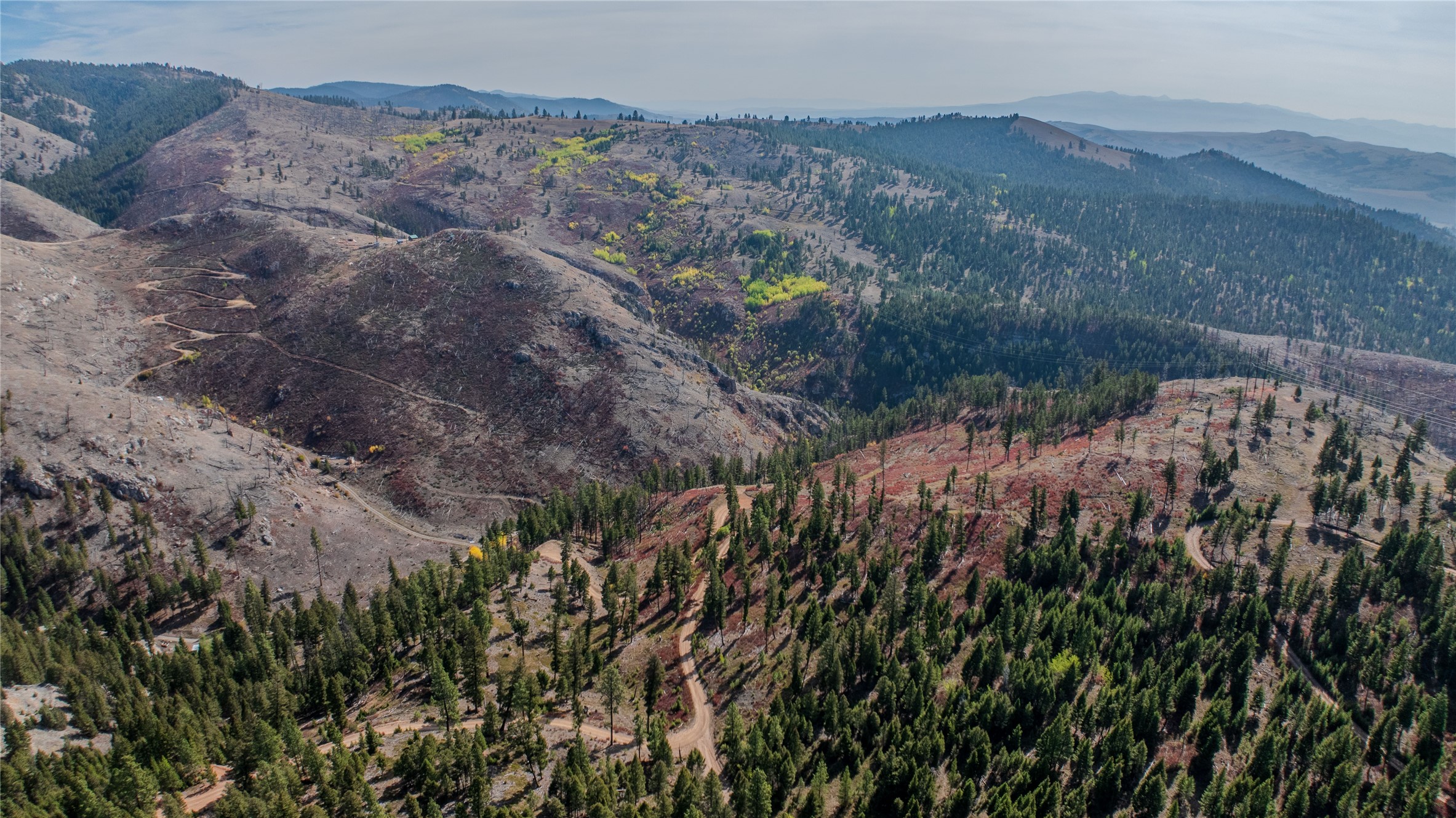TBD Packer Gulch Road