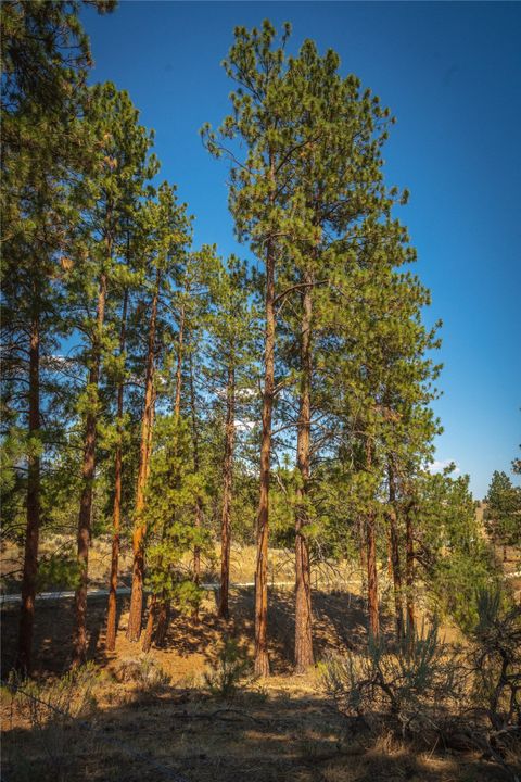 Tiny photo for 4769 Northview Drive, Stevensville, MT 59870 (MLS # 30069265)