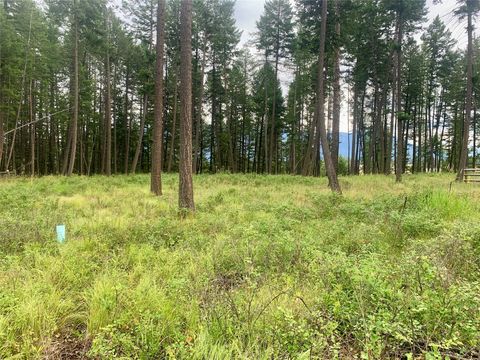 Photo of 1097 Timber Ridge Court, Columbia Falls, MT 59912 (MLS # 30031814)