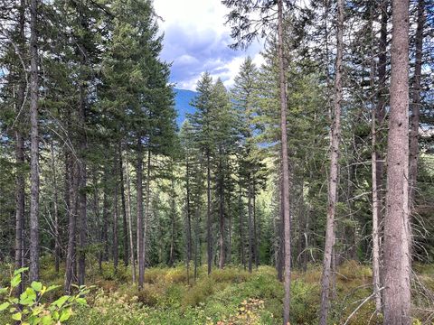 NHN MT Hwy 200 Trout Creek MT 59874