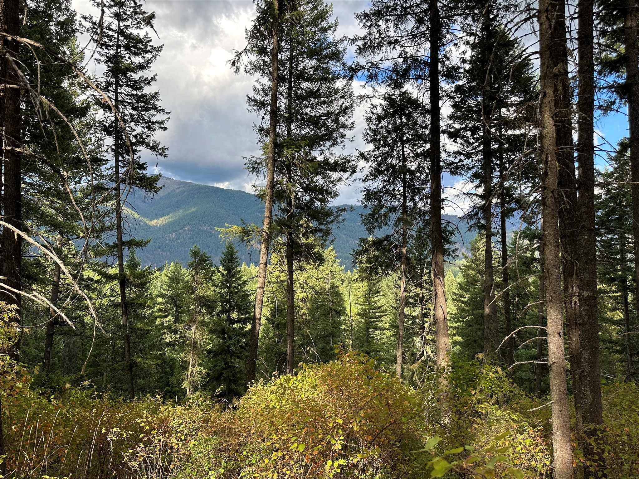NHN MT Hwy 200