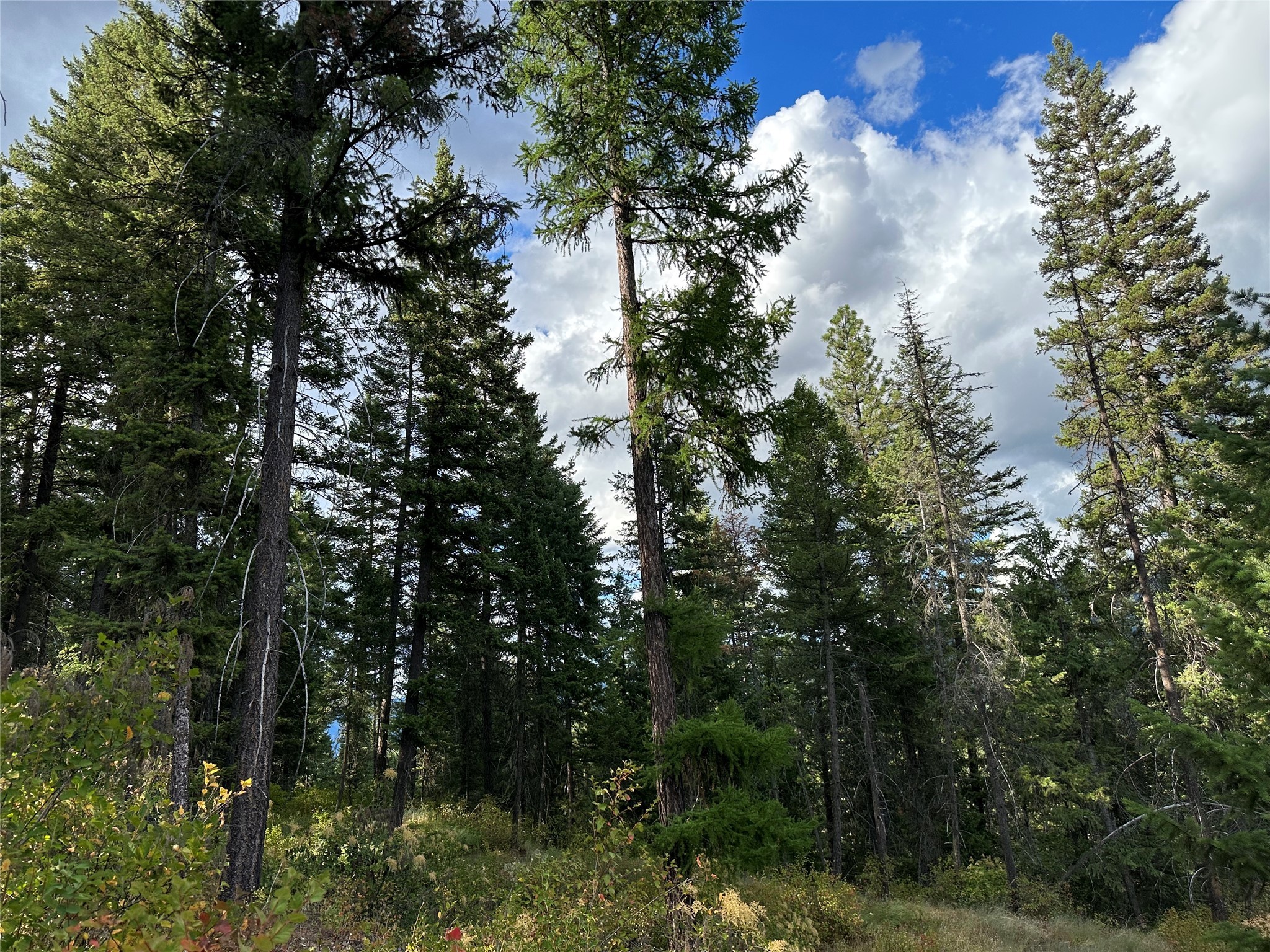 NHN MT Hwy 200