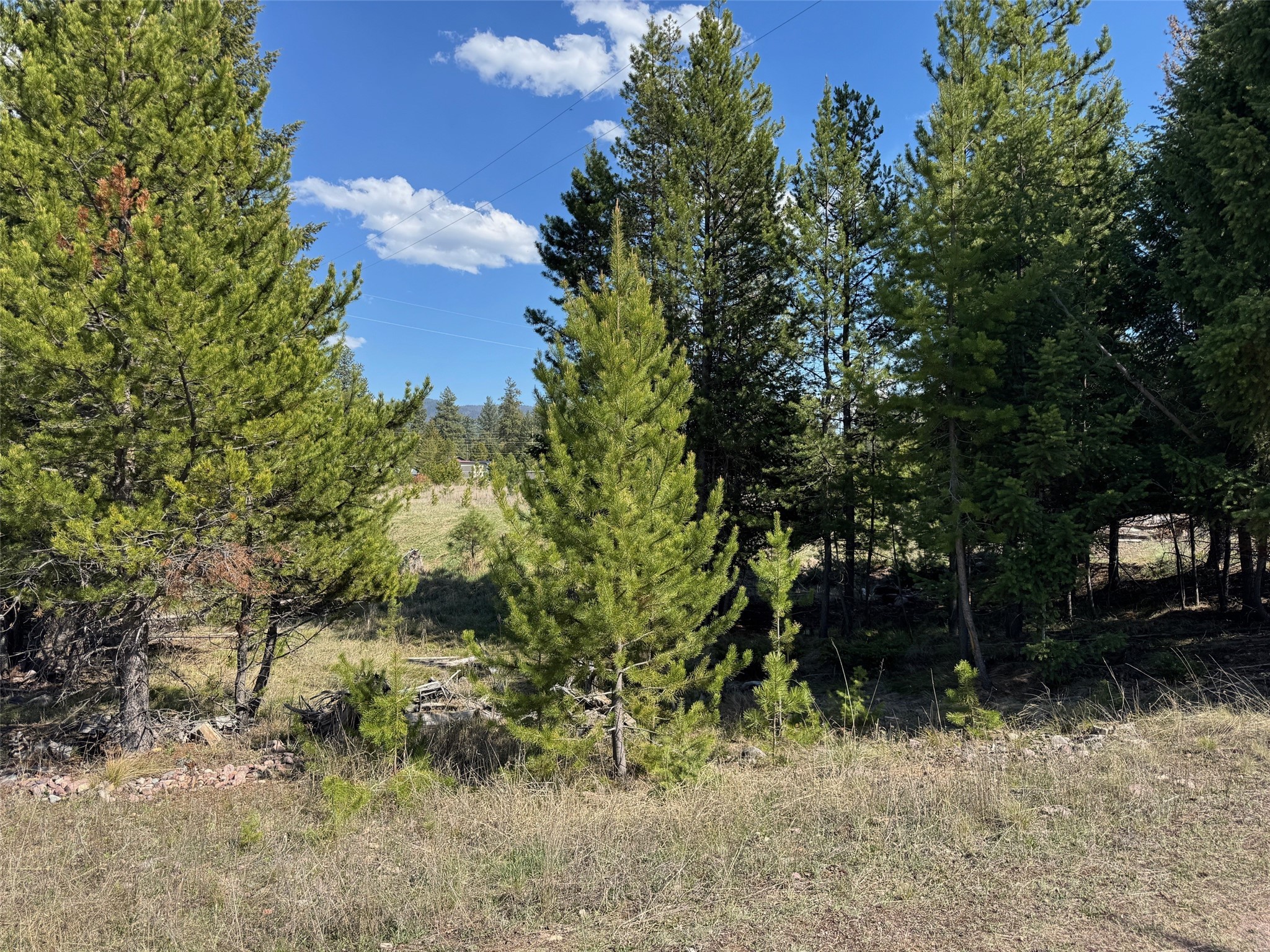 NHN Pine Drive