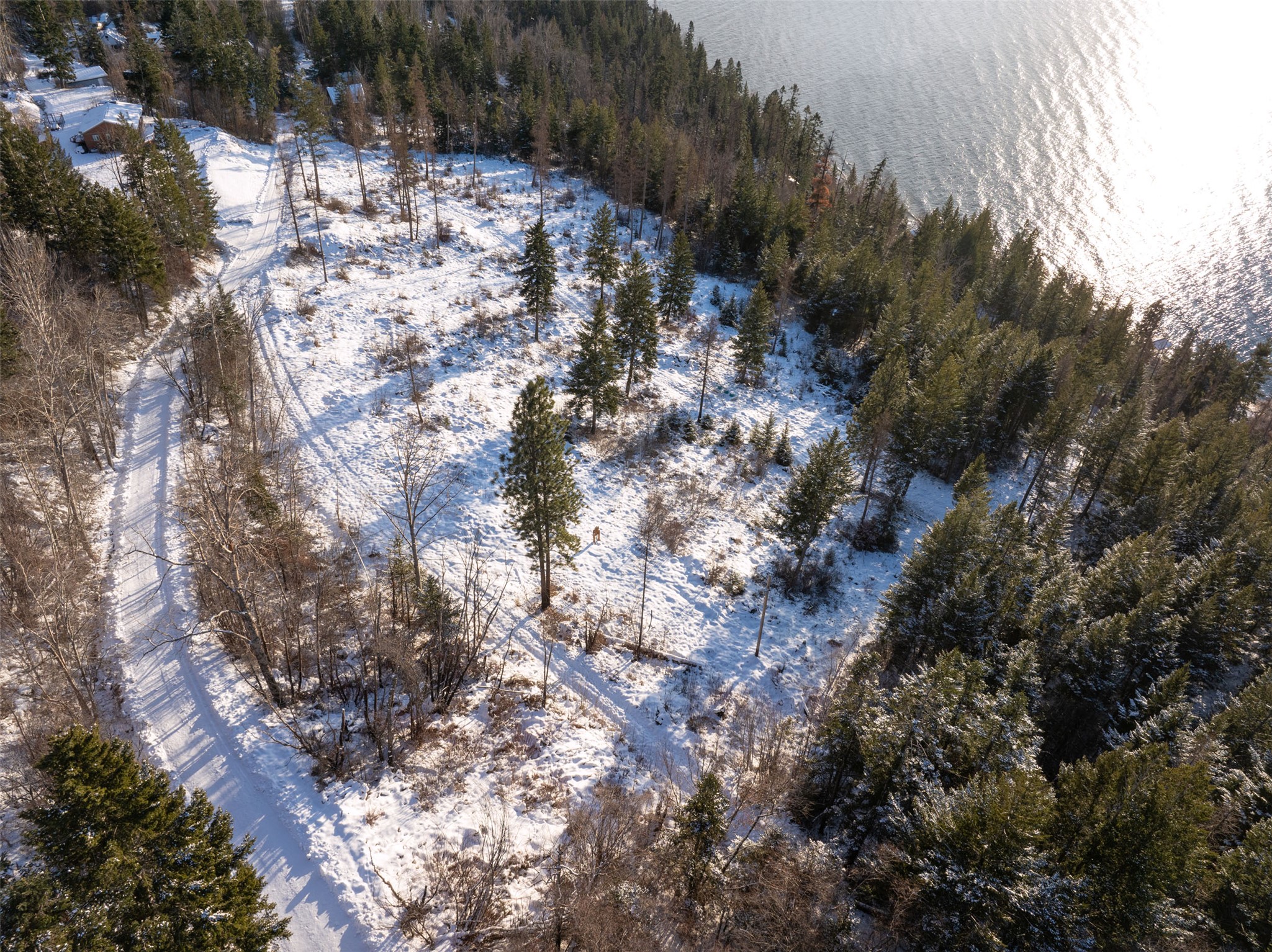 Bigfork, Montana 59911, United States, ,Land,Active,15406