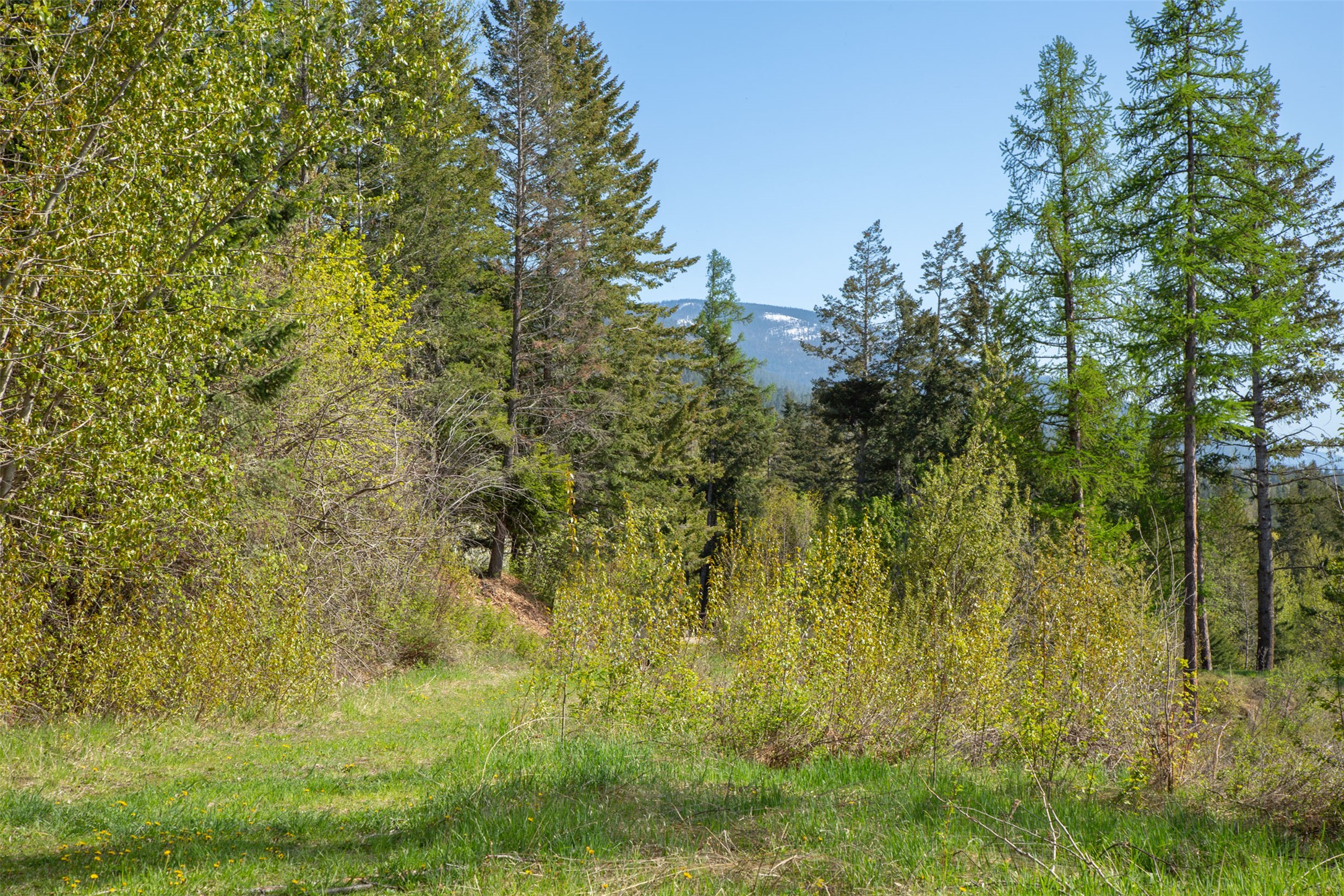 Bigfork, Montana 59911, United States, ,Land,Active,15406