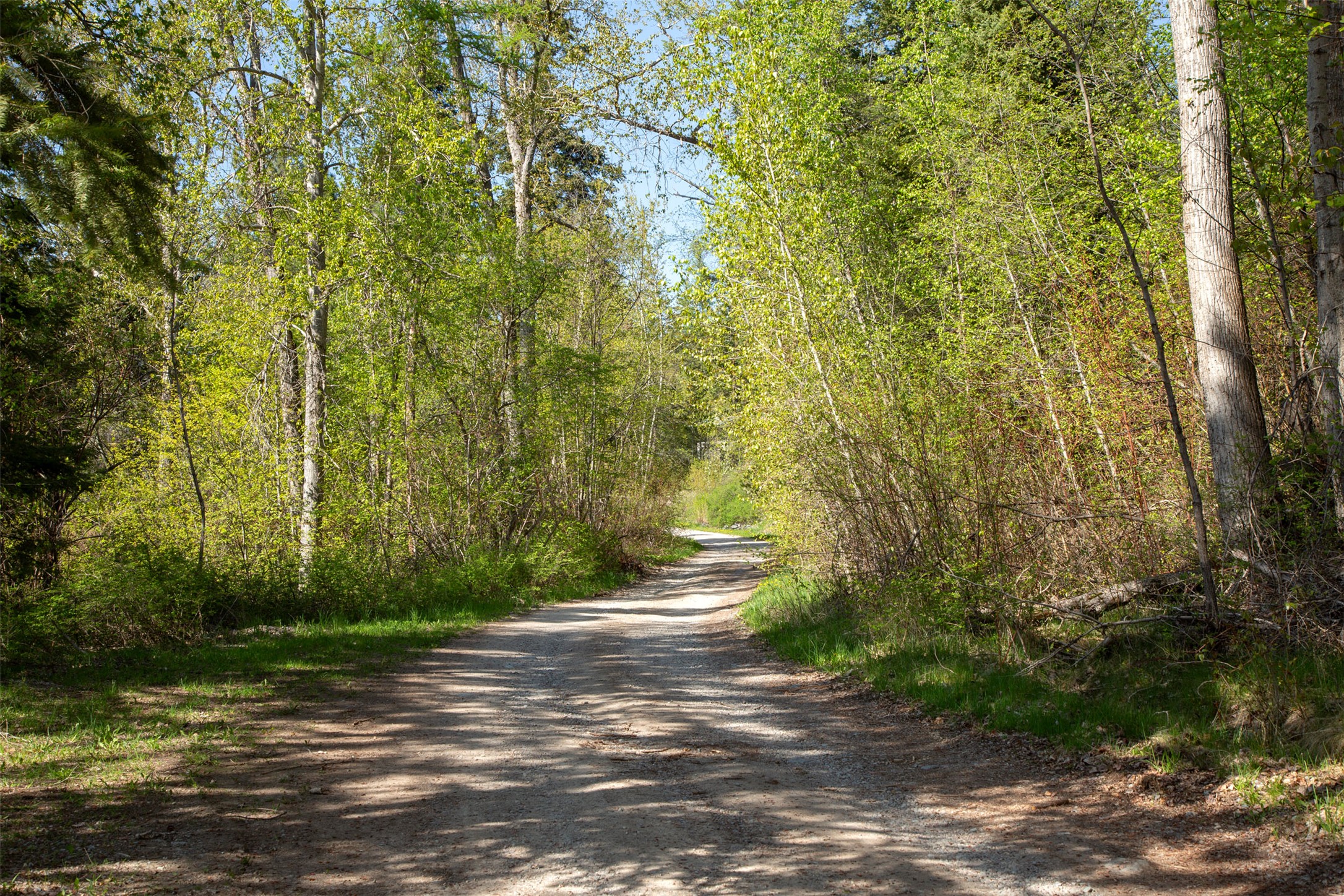 Bigfork, Montana 59911, United States, ,Land,Active,15406