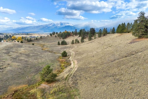Tiny photo for Lot 10 Barnwood Way, Stevensville, MT 59870 (MLS # 30073055)