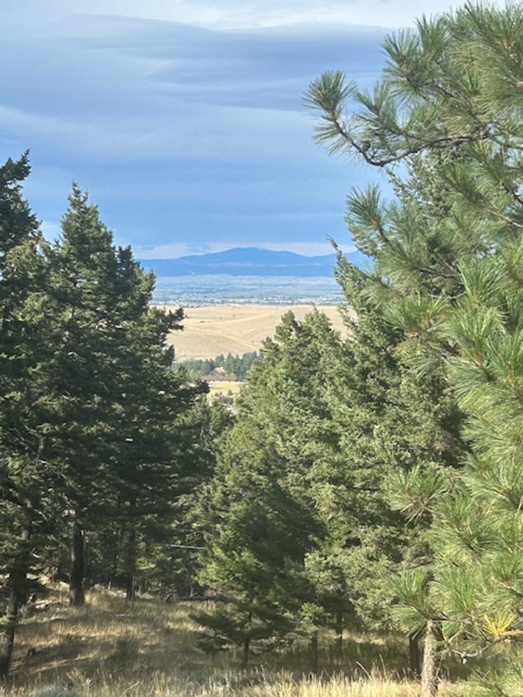 Photo of 47 Bridle Bit Loop, Clancy, MT 59634 (MLS # 30069123)