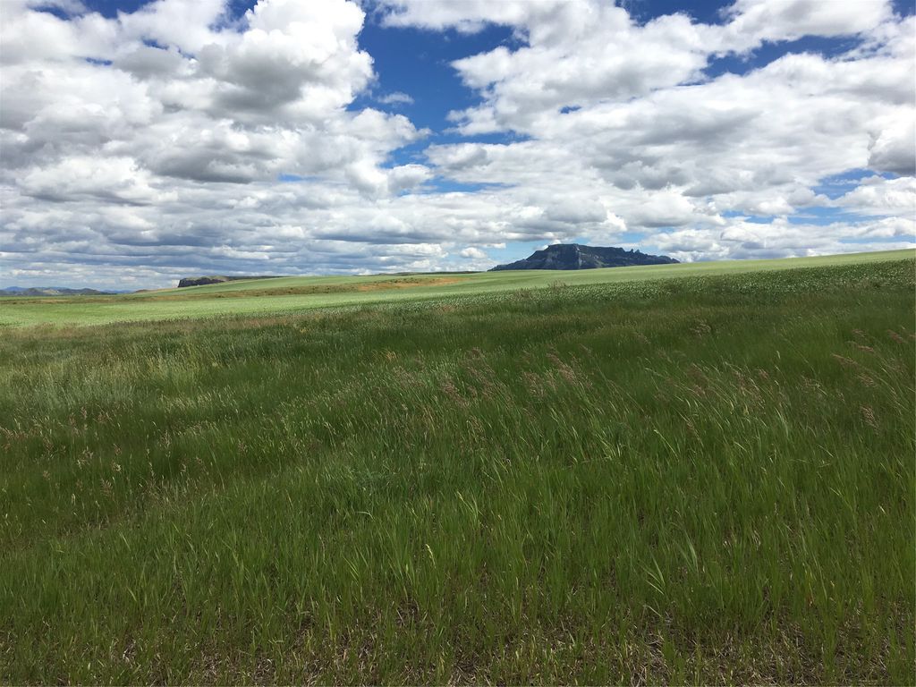 Photo of UKN Flat Creek Road, Geraldine, MT 59446 (MLS # 30068104)