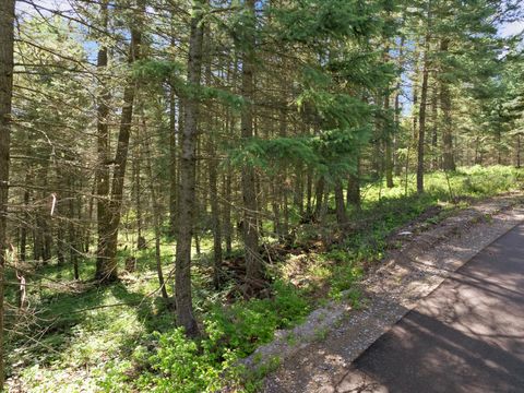 Tiny photo for 119 Stageline Court, Whitefish, MT 59937 (MLS # 30069876)