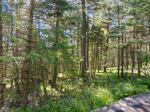 Tiny photo for 119 Stageline Court, Whitefish, MT 59937 (MLS # 30069876)
