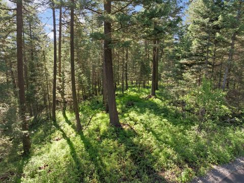 Tiny photo for 119 Stageline Court, Whitefish, MT 59937 (MLS # 30069876)