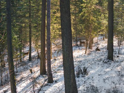Tiny photo for 119 Stageline Court, Whitefish, MT 59937 (MLS # 30069876)
