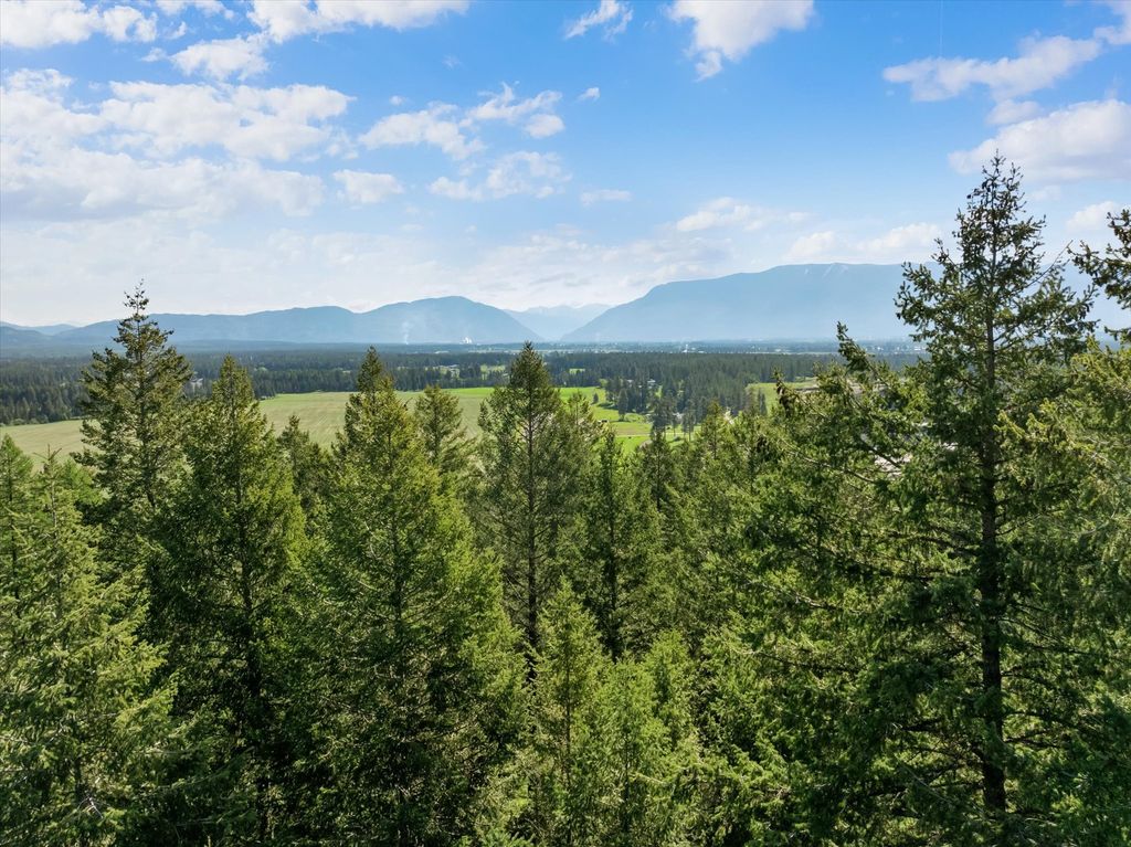 Photo of 119 Stageline Court, Whitefish, MT 59937 (MLS # 30069876)