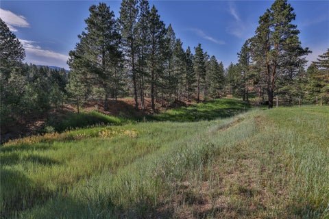Tiny photo for 14 Ante Lane, Jefferson City, MT 59638 (MLS # 30072363)