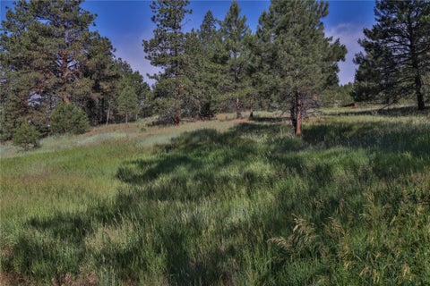 Tiny photo for 14 Ante Lane, Jefferson City, MT 59638 (MLS # 30072363)