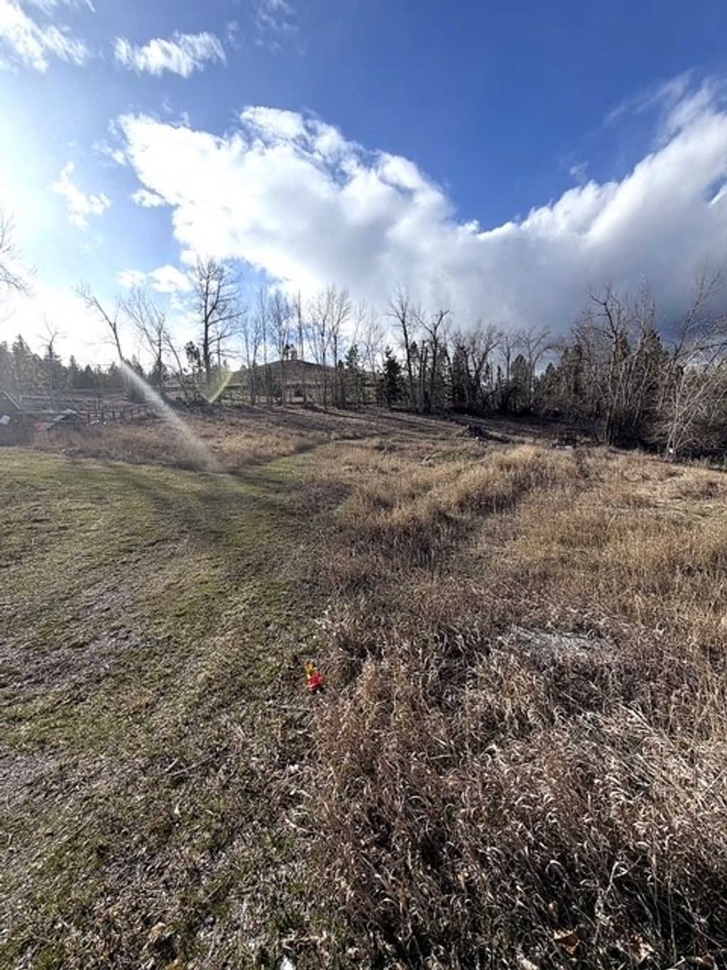 Photo of 12326 Nature Court, Lolo, MT 59847 (MLS # 30066867)