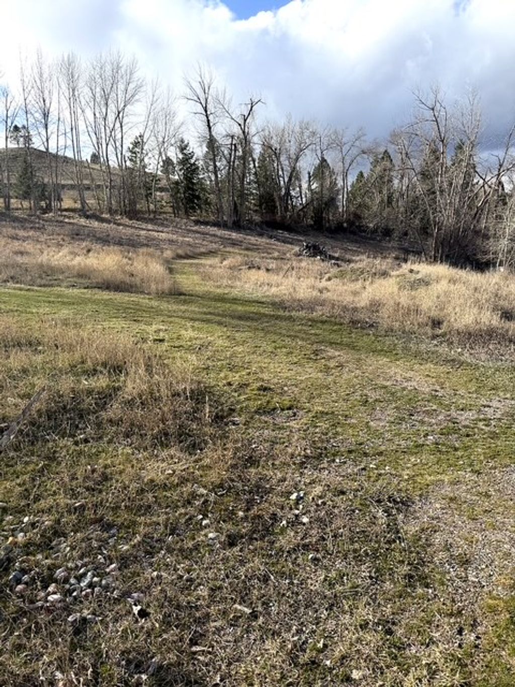 Photo of 12326 Nature Court, Lolo, MT 59847 (MLS # 30066867)