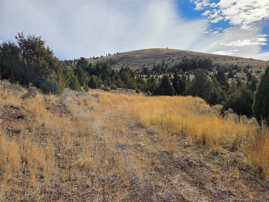 Photo of Tract 1C-2 Meagher Trail, Virginia City, MT 59755 (MLS # 30060756)