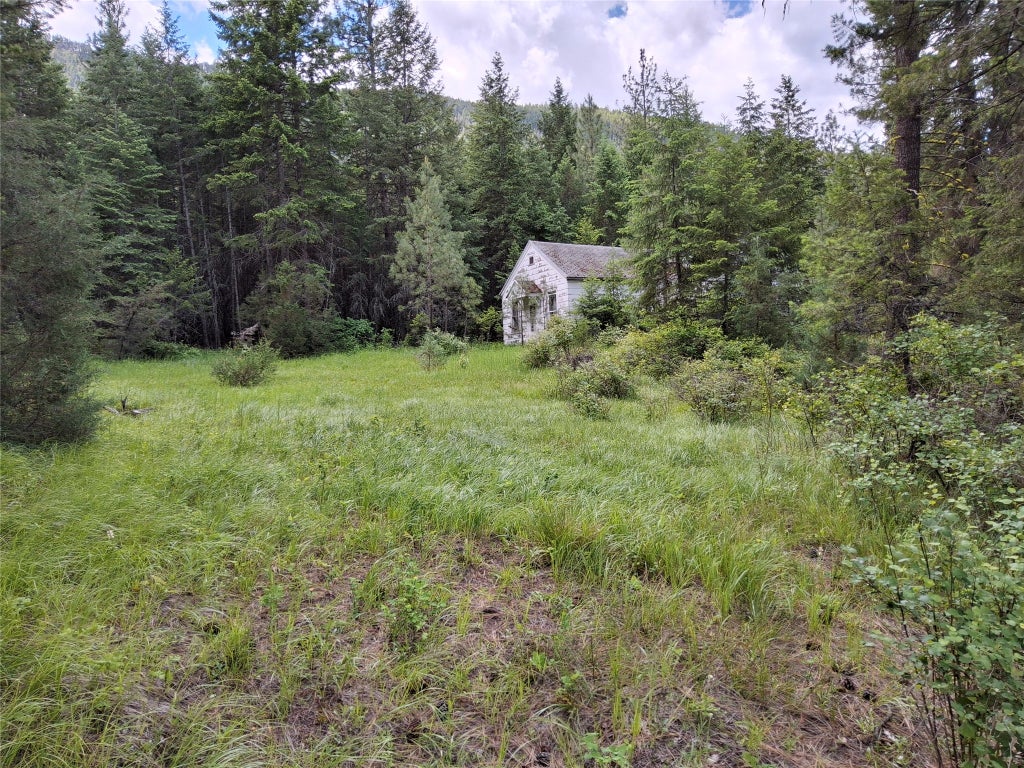 Photo of 746 Tami Drive E, Superior, MT 59872 (MLS # 30072978)