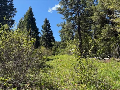 NHN Camas Springs Road Potomac MT 59823