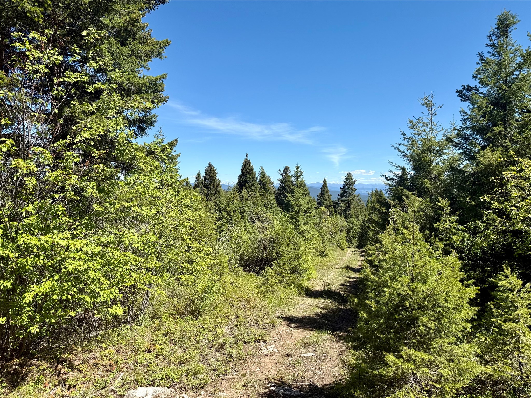 NHN Camas Springs Road