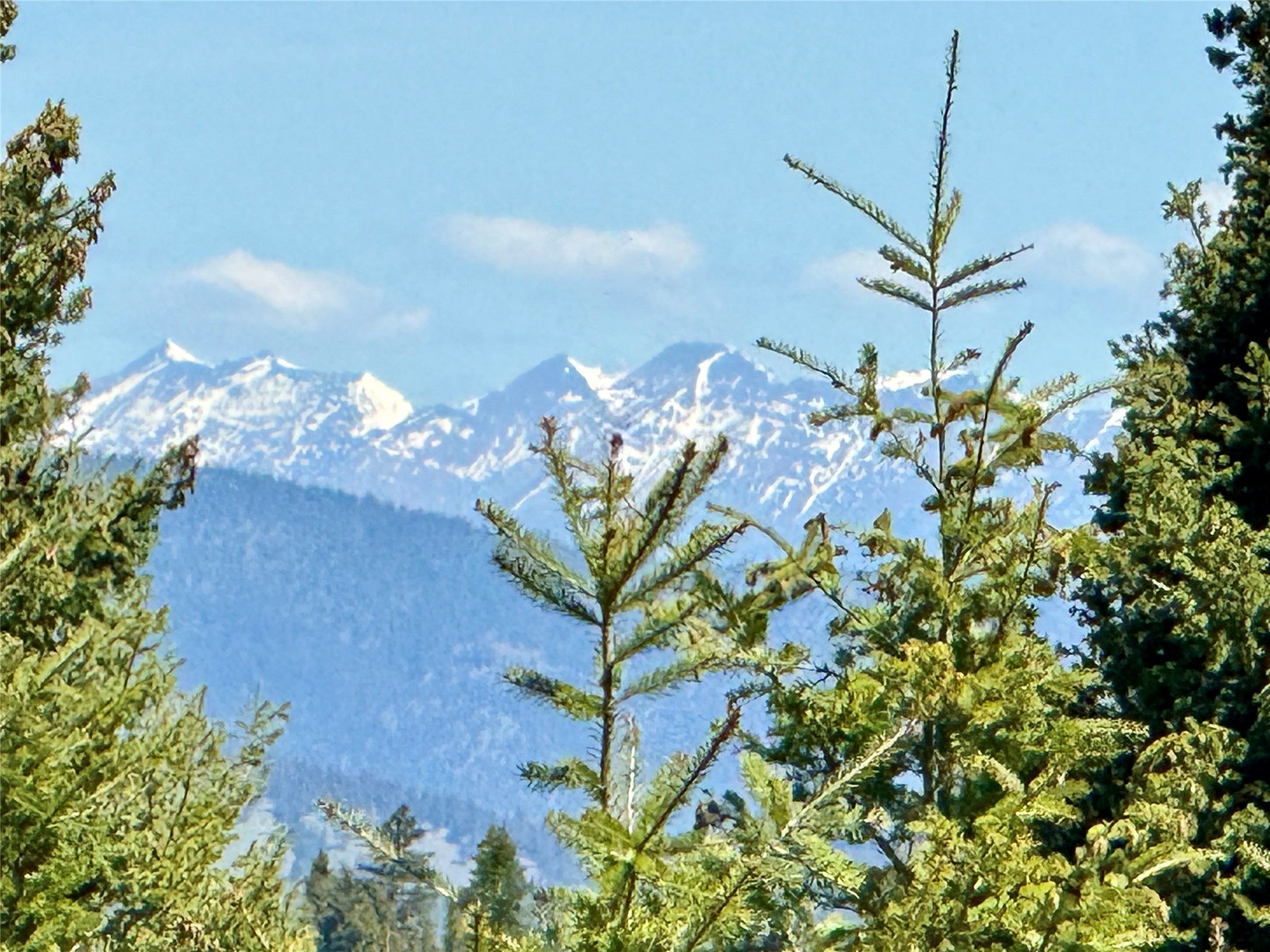 NHN Camas Springs Road