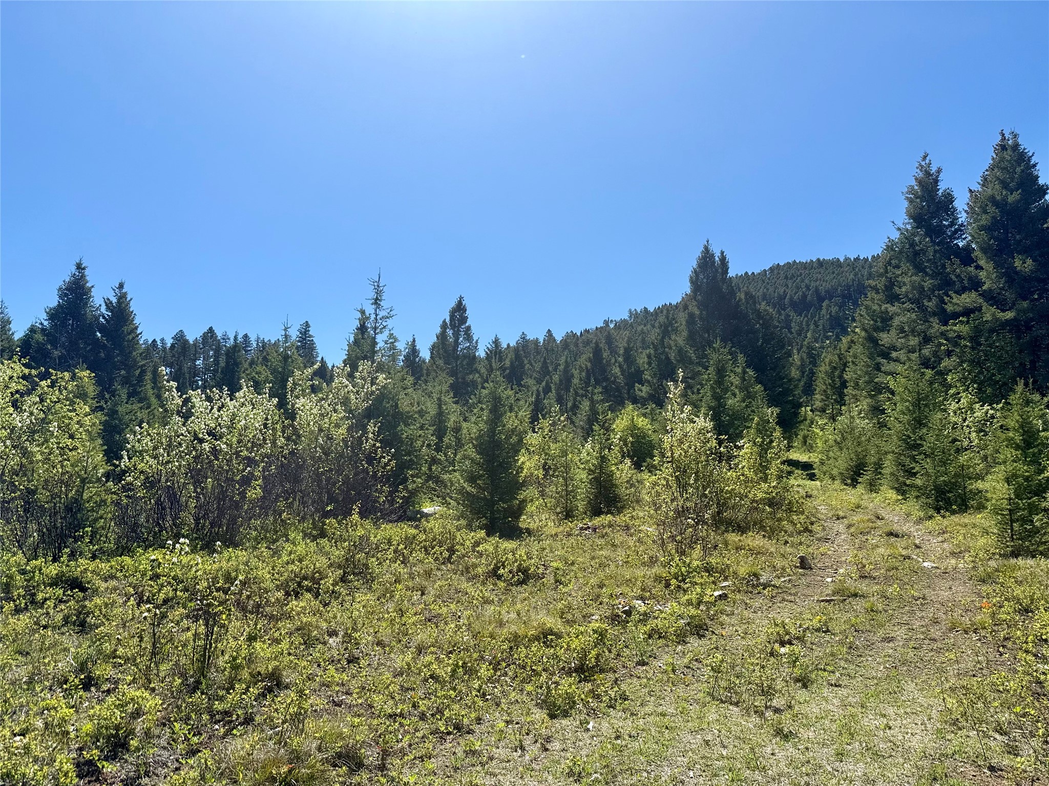 NHN Camas Springs Road