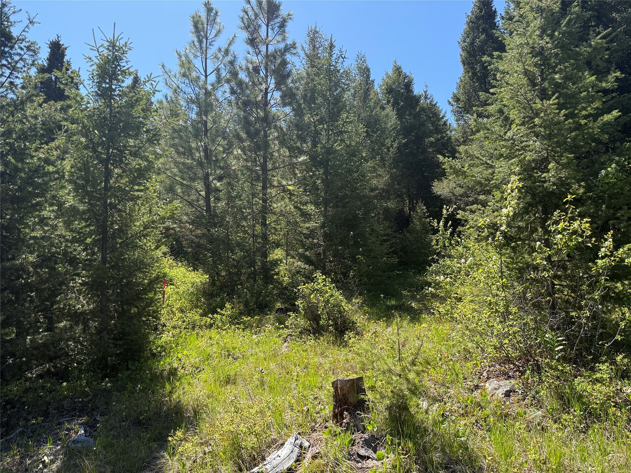 NHN Camas Springs Road