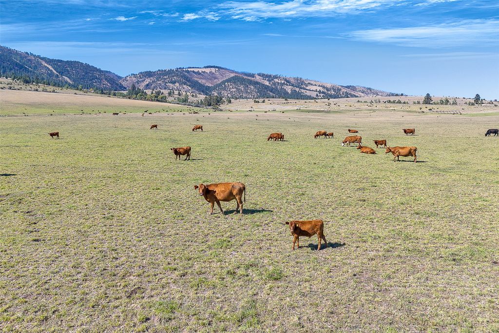 Photo of 000 King Pastures, Florence, MT 59833 (MLS # 30058530)