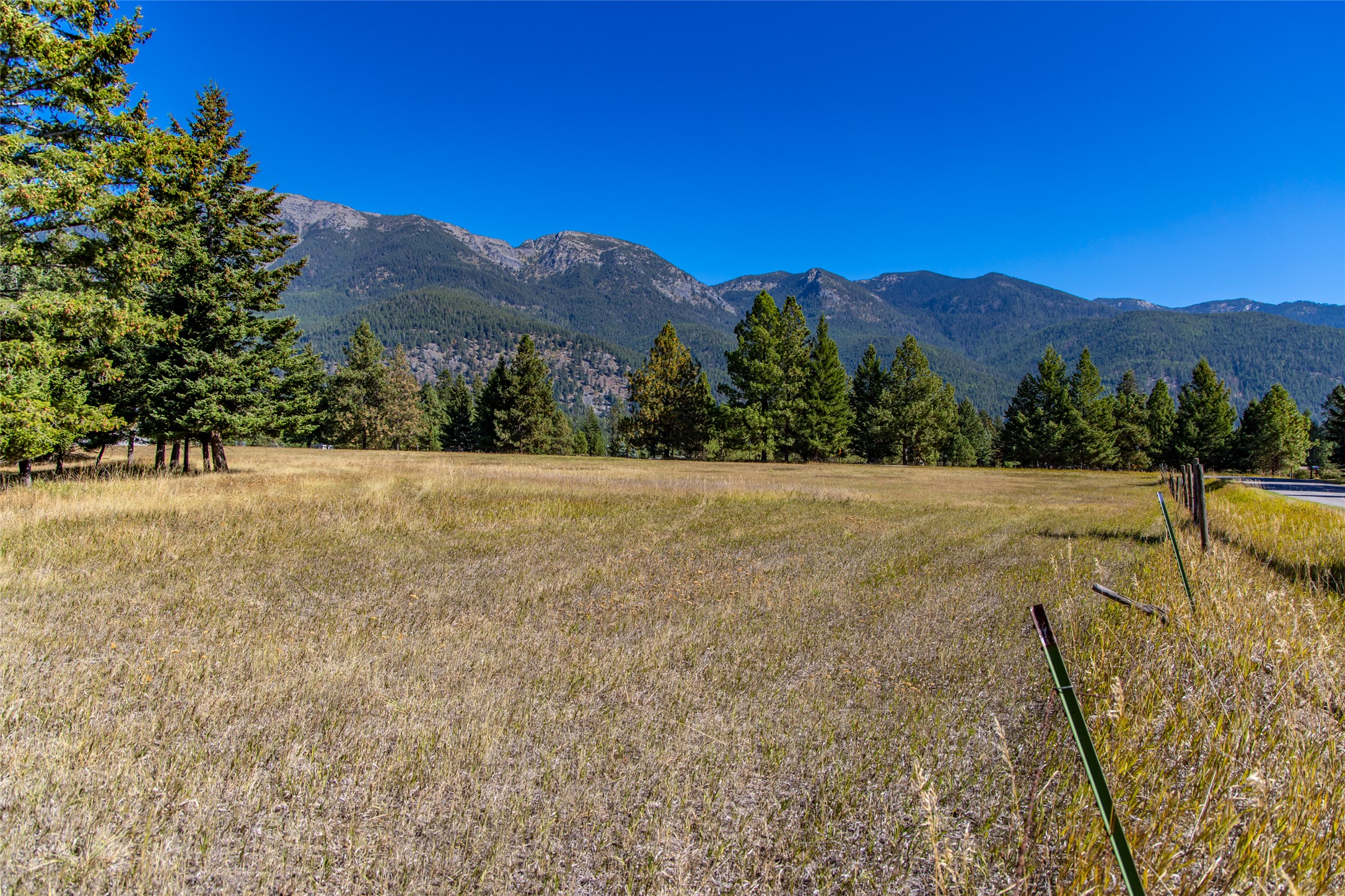 NHN Blaine View Lane