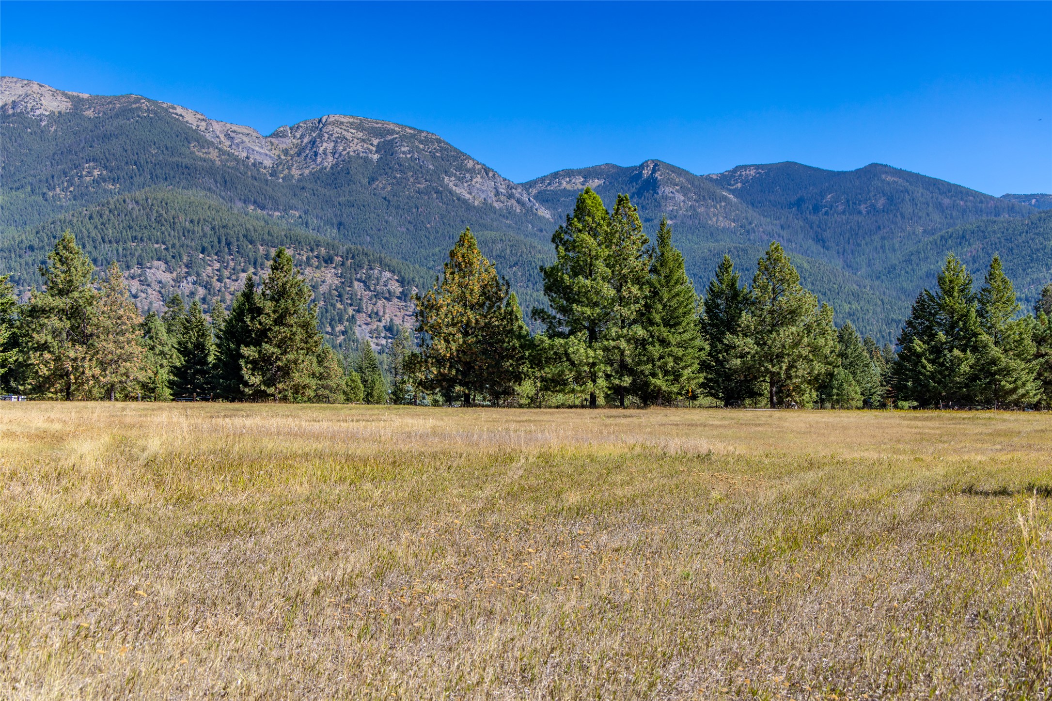 NHN Blaine View Lane