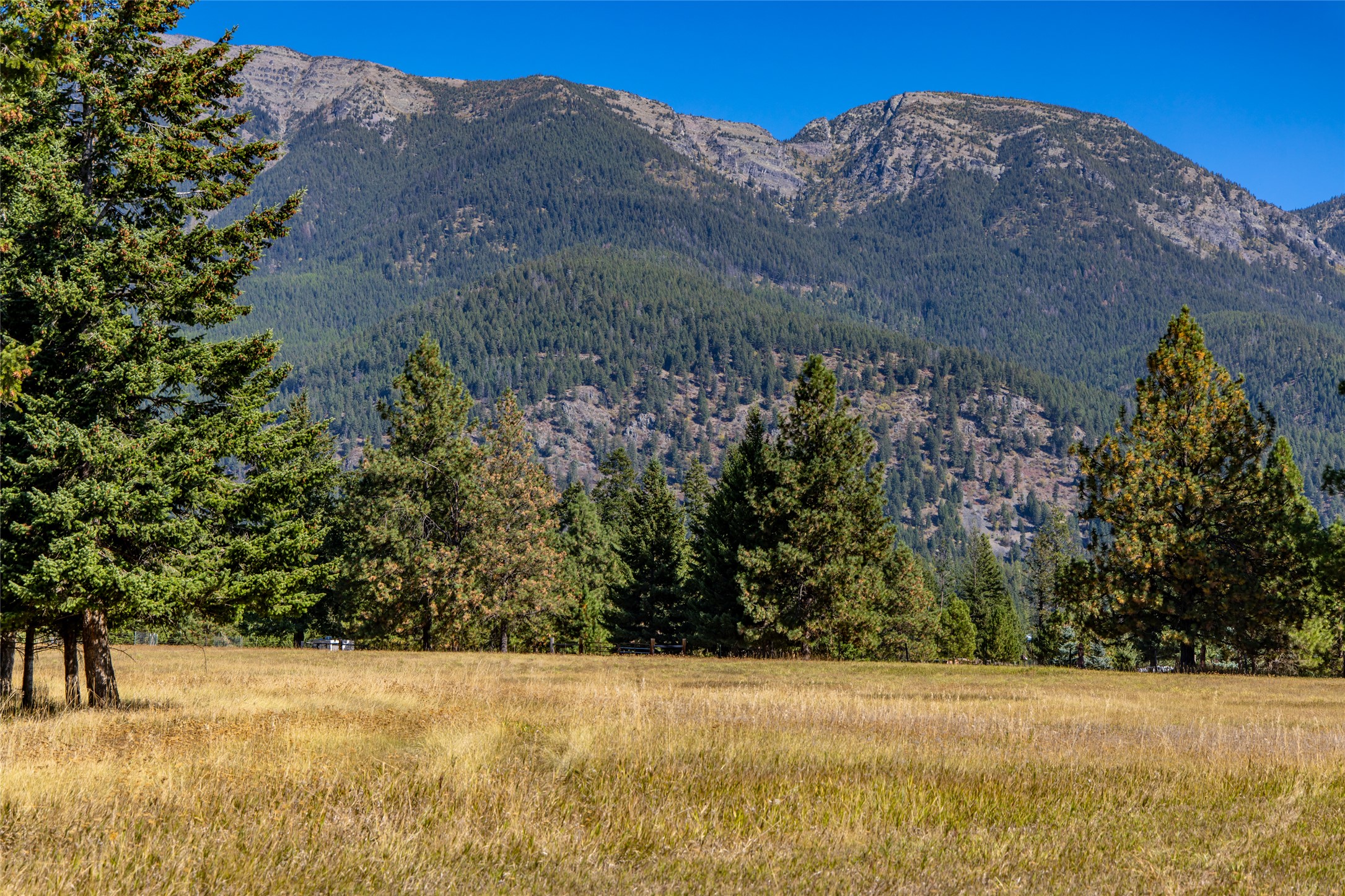 NHN Blaine View Lane