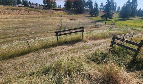 Tiny photo for 527 Grande Vista Drive, Kalispell, MT 59901 (MLS # 30076668)
