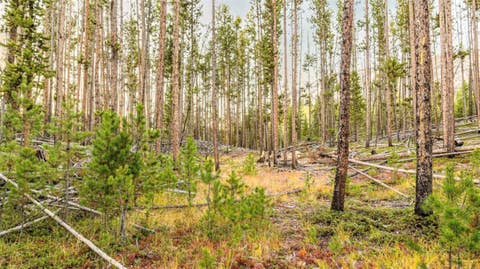 Tiny photo for Lot 7 TBD Mitchell Drive, Anaconda, MT 59711 (MLS # 30077198)