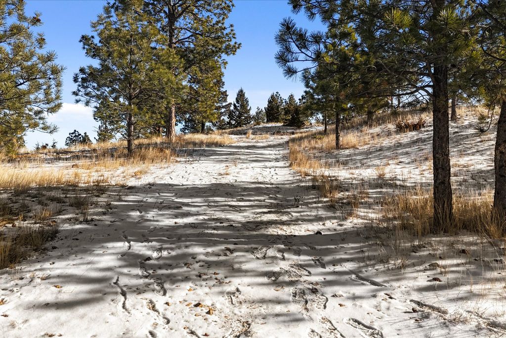 Photo of 6635 Antler Way, Helena, MT 59602 (MLS # 30064493)