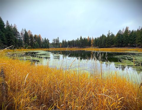 Photo of 465 & NHN W Dodge Creek Road, Rexford, MT 59930 (MLS # 30061551)