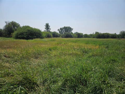 Tiny photo for NHN W Woodson Street, White Sulphur Springs, MT 59645 (MLS # 30076661)