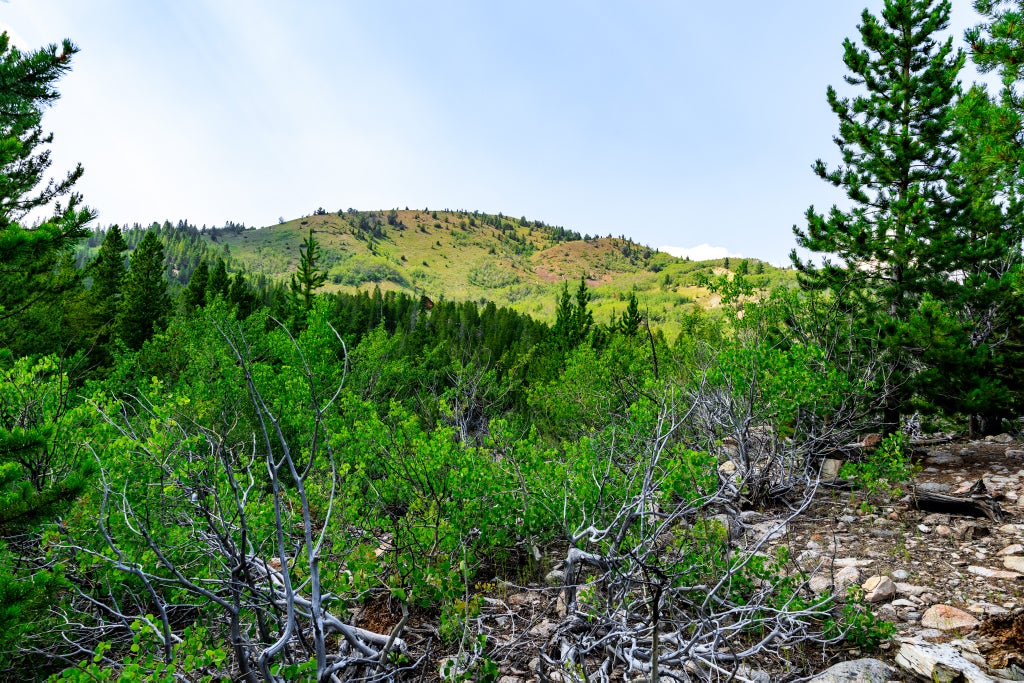 Photo of NHN Sheri Trail #Lot 15, Anaconda, MT 59711 (MLS # 30078256)