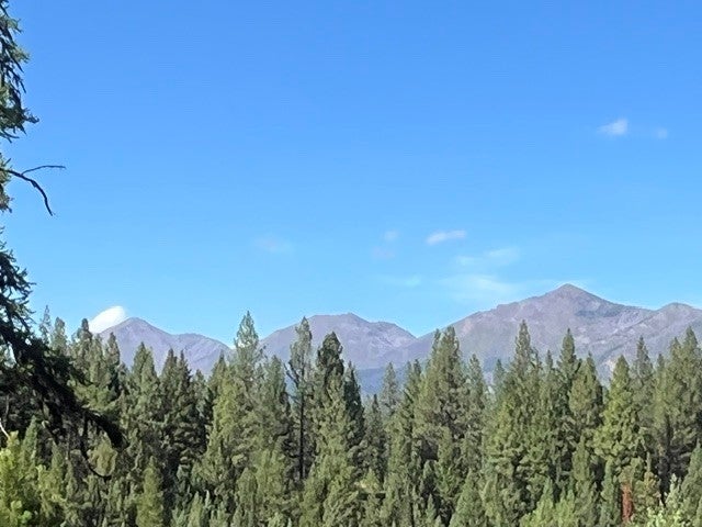 Photo of 1787 Grandview Drive, Seeley Lake, MT 59868 (MLS # 30078137)