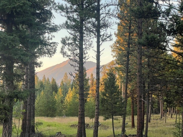 Photo of 1787 Grandview Drive, Seeley Lake, MT 59868 (MLS # 30078137)