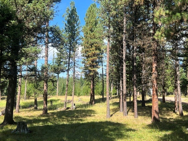 Photo of 1787 Grandview Drive, Seeley Lake, MT 59868 (MLS # 30078137)