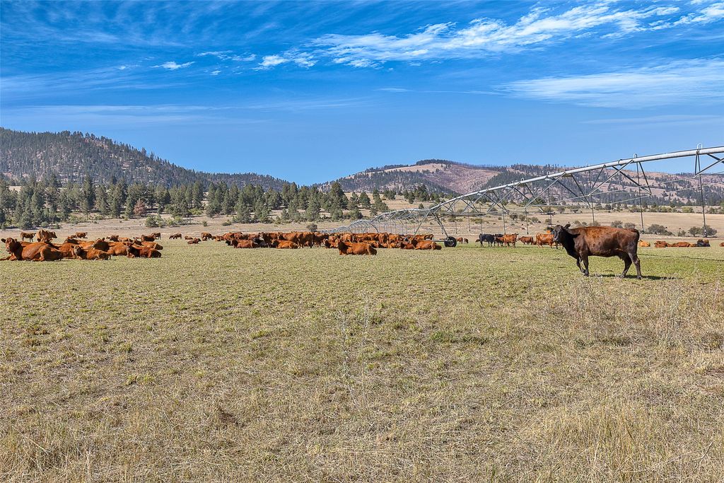 Photo of 000 South Pastures, Florence, MT 59833 (MLS # 30058533)