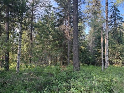 Tiny photo for 571 Armory Rd, Whitefish, MT 59937 (MLS # 30071325)