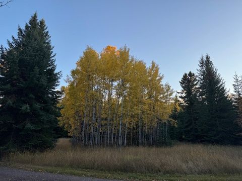Tiny photo for 571 Armory Rd, Whitefish, MT 59937 (MLS # 30071325)