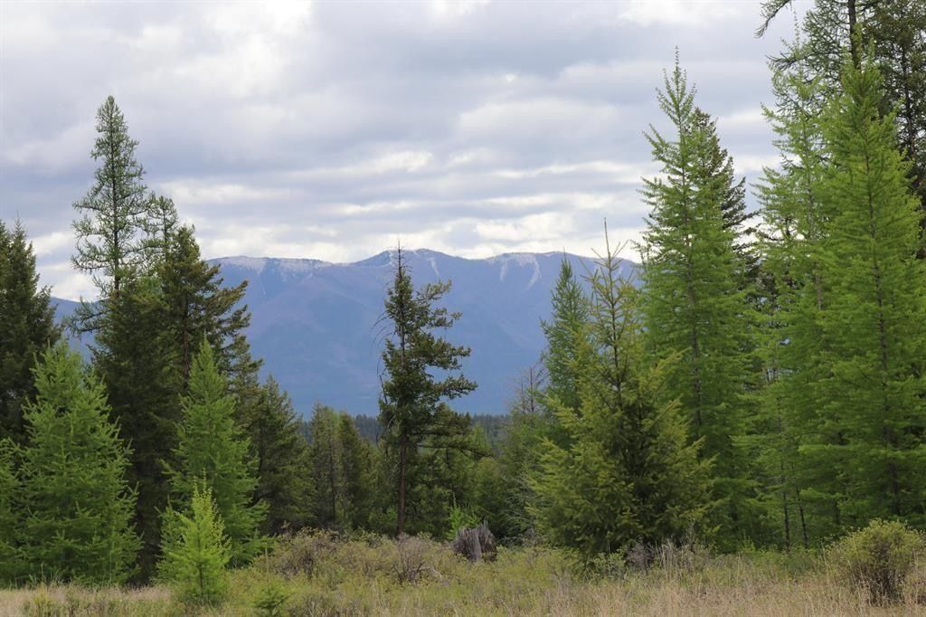Photo of Lot 1A Meadow Springs, Fortine, MT 59918 (MLS # 30067492)